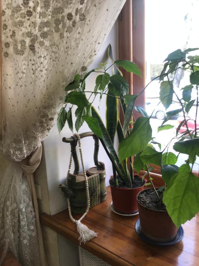 Apartmán Uspenskay/Pushckinskay Oděsa Exteriér fotografie