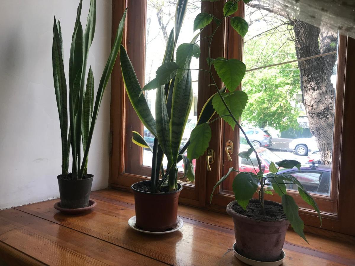 Apartmán Uspenskay/Pushckinskay Oděsa Exteriér fotografie